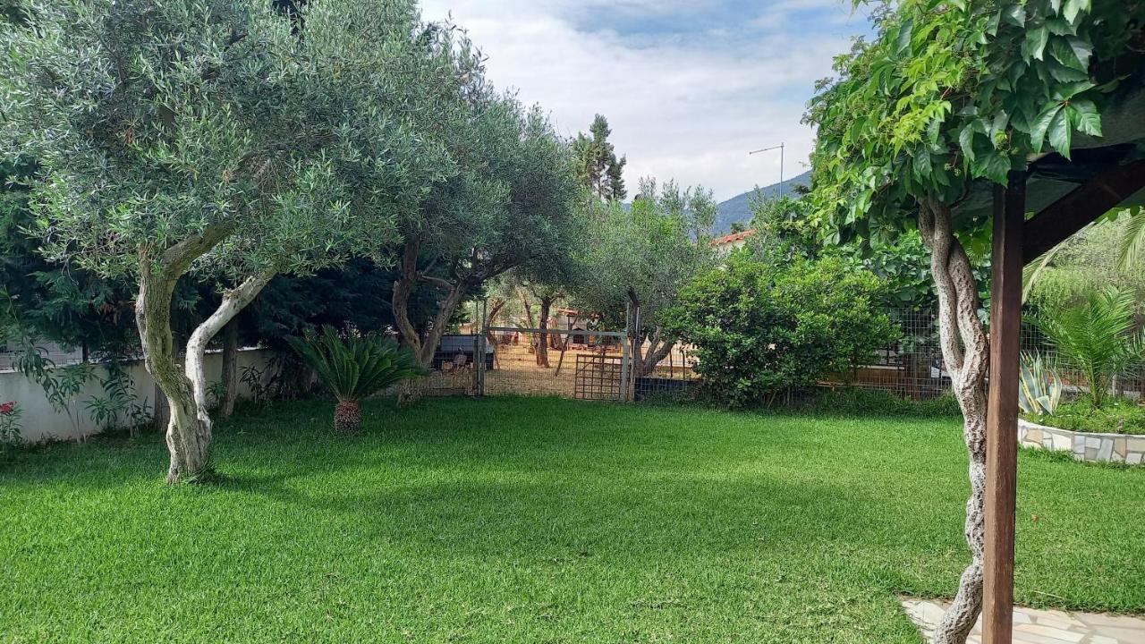 Villa Margiani Chalkís Exterior foto